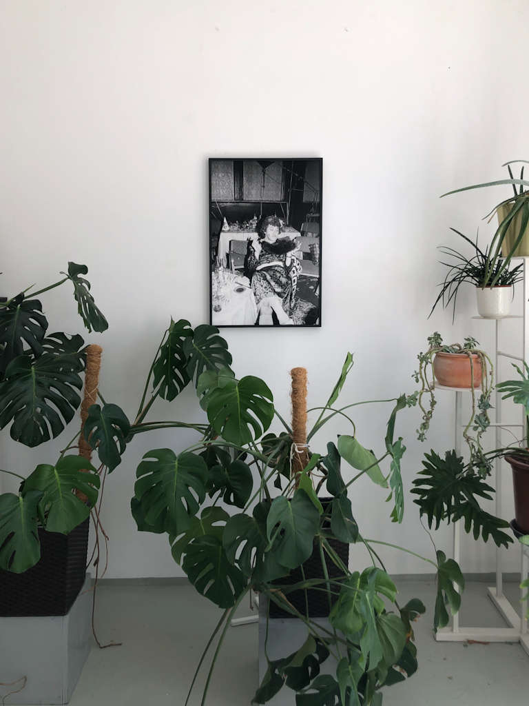 IMG 7430 2